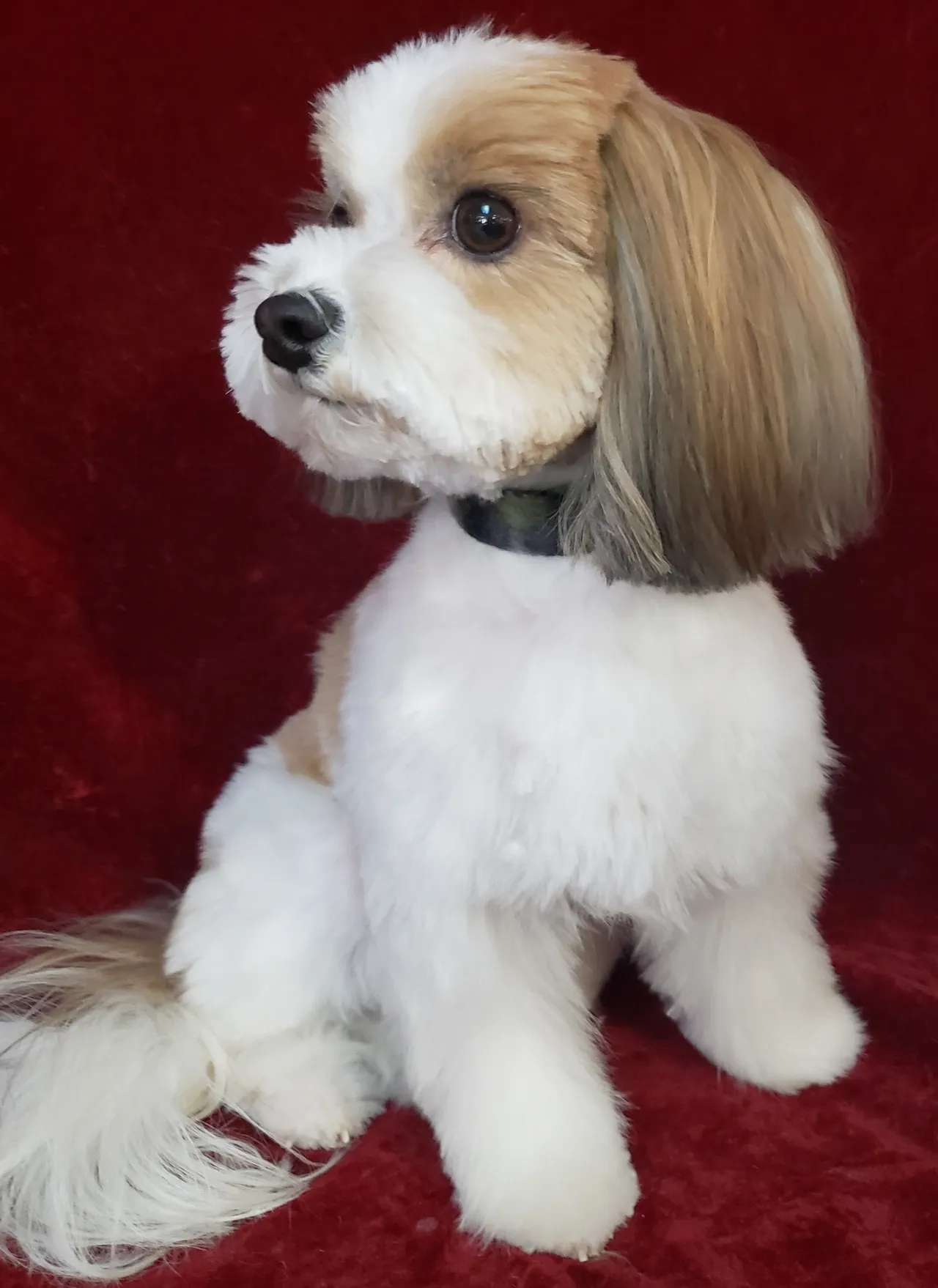 Genuine care, from our family to yours.